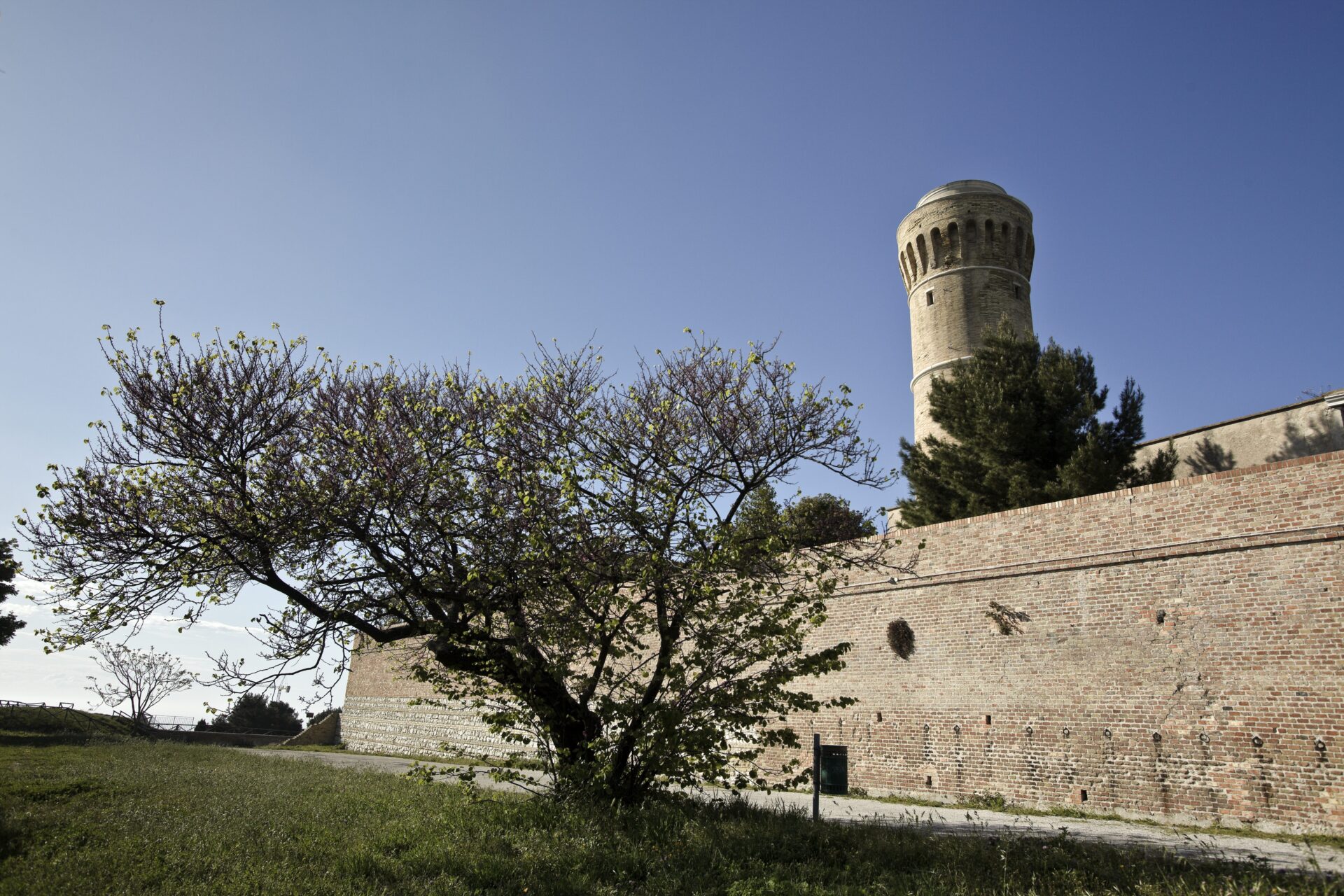 Cardeto e vecchio faro